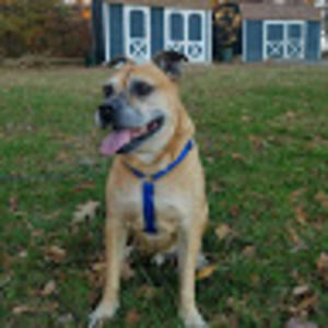 Meet your Posher, Jaime